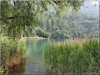 foto Lago di Lases